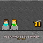 Alex And Steve Miner Two Player