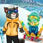 Cats Winter Fun