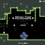 Hollow Floor