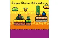Play Super Steve Adventure now!