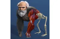 Play Idle Evolution From Cell To Human now!