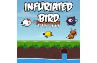 Play Infuriated bird now!