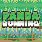 Panda Running