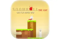 Play Snowball The Cat Catch And Go now!